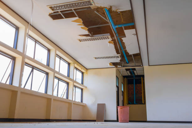 Best Water damage restoration cost  in , WA