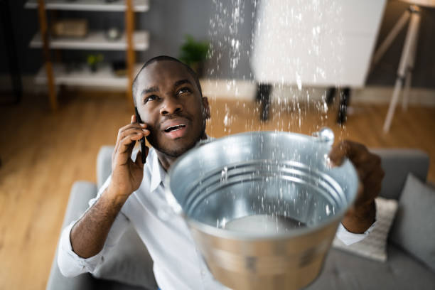 Best Carpet water damage restoration  in , WA