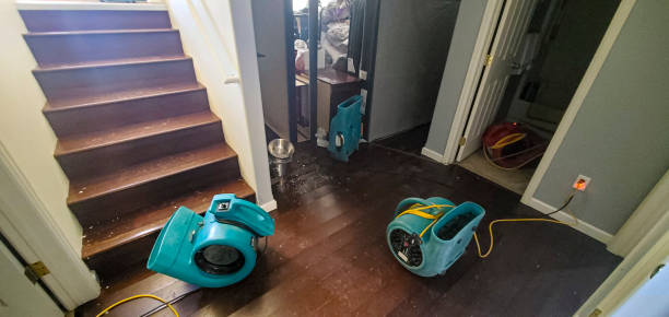 Best Residential water damage restoration  in , WA