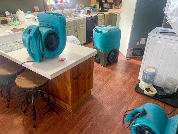 Best Commercial water damage restoration  in , WA
