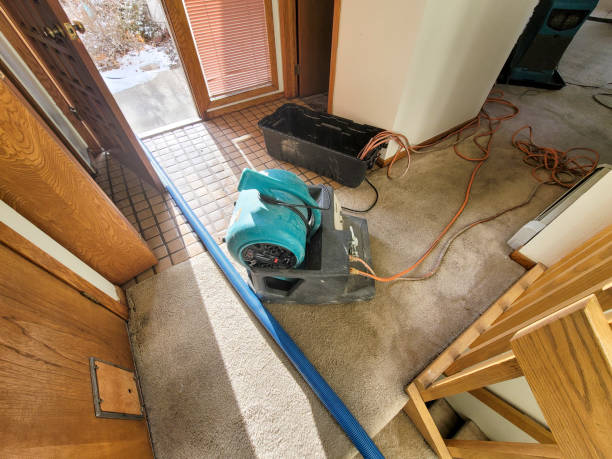 Best Basement water damage restoration  in , WA