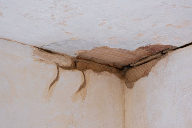 Best Emergency water damage restoration  in , WA