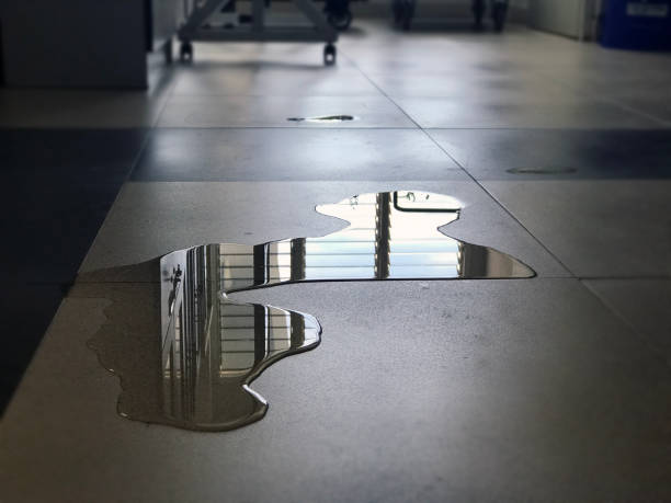 Best Local water damage restoration  in , WA
