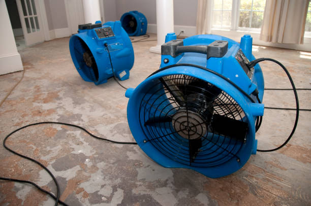 Best Water damage restoration services  in , WA