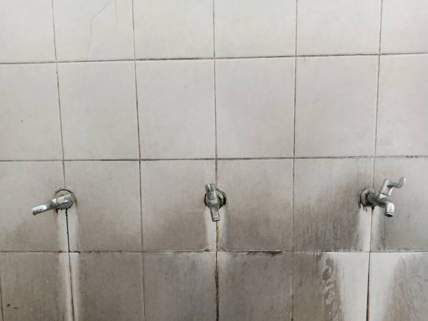 Best Professional water damage repair  in , WA