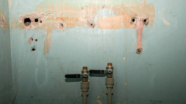 Best Water damage restoration near me  in , WA
