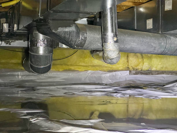 Best Fire Damage Restoration  in , WA