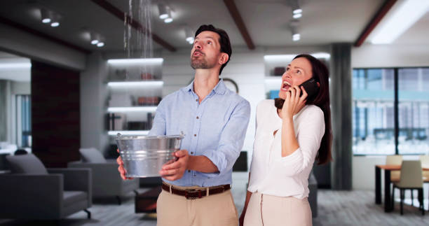 Best Water damage restoration near me  in , WA