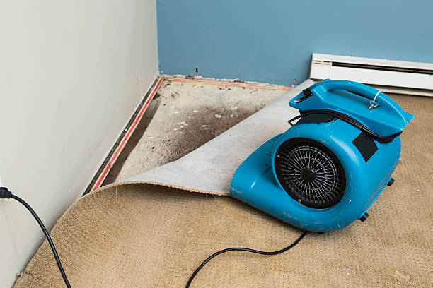 Best Ceiling water damage repair  in , WA