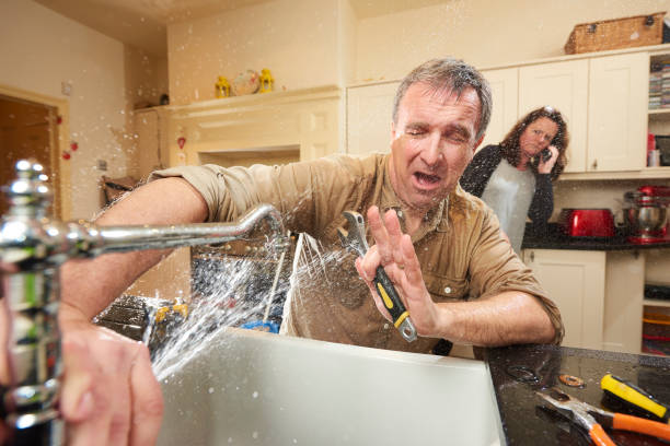 Best Mold removal after water damage  in , WA